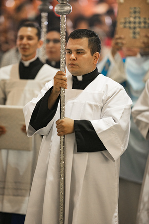 009 - Ordenación Darsving (Alta)